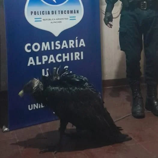 651921644_1512083304260560_563821791098129937_n