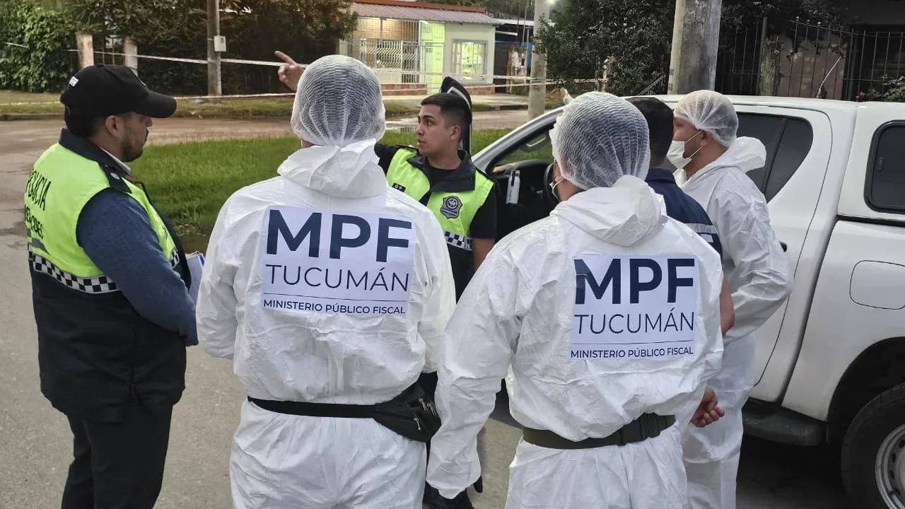 WhatsApp Image 2026-03-27 at 23.48.57